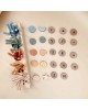 Math Montessori Set
